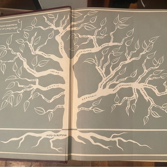 Webster’s New Twentieth Century Dictionary of the English Language Unabridged - Picture 13 of 16